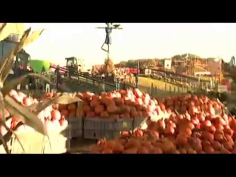 Fall Family Fun At Linvilla Orchards on CW Philly 57