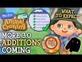 More 3 0 UPDATE Content Still To Come Animal Crossing New Horizons