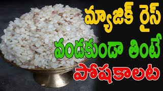 Assam Special Rice Komal Saul || How to eat Rice Without Cooking || TvNxt Telugu