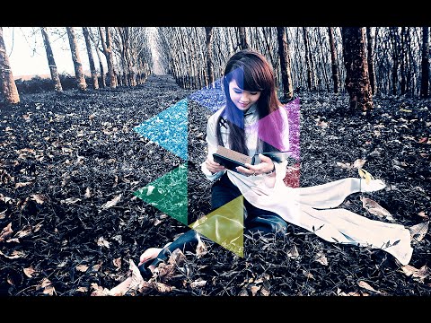 [HD] Aspect | The Woods