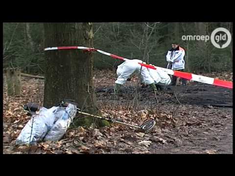 Nieuws 13.00 uur 31 januari 2013