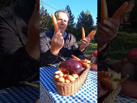 Mrkva-Daucus carota-Hrana kao lijek