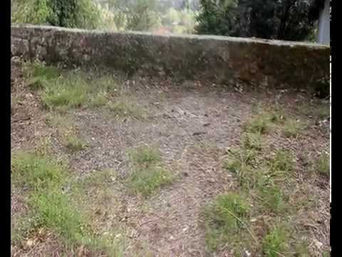 VENDO RUSTICO PONTREMOLI