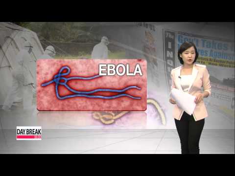 エボラウイルスの感染経路 (Path of the Ebola virus infection)