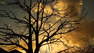 Taxi dancer - John Cougar