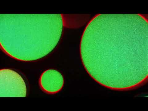 Video thumbnail for Bad Dreams