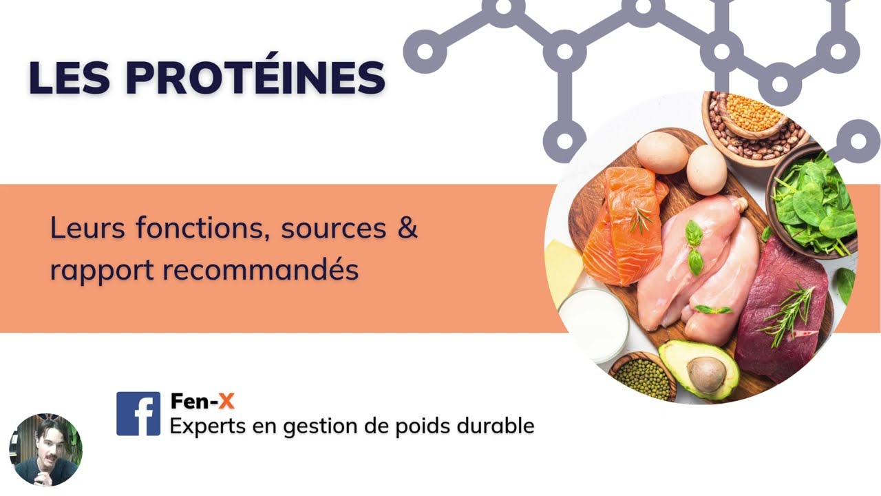 Les fonctions des protéines