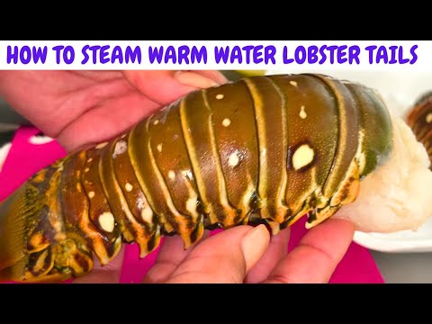 The secret to making a perfect Lobster Tail!! | Tanny Cooks
