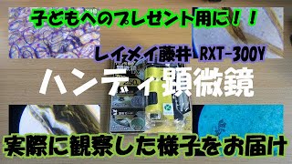 レイメイ藤井ハンディ顕微鏡《250倍》レビュー【子供へのプレゼントとして購入】
