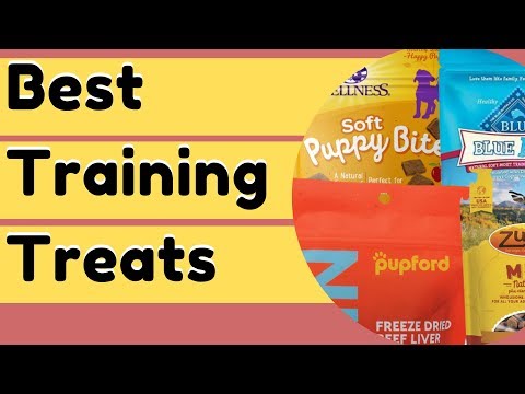 Best Dog Training Treats For Better Results
