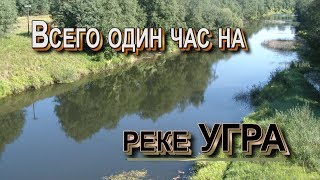 Рыбалка на реке угре в смоленской области