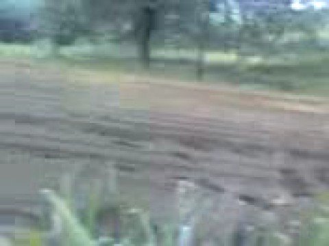 Gorla Minore Rettilineo