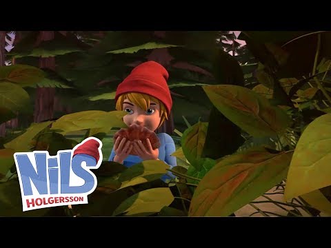 🐚🐚 Die Muschel - Nils Holgersson 🐚🐚