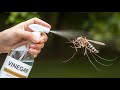 DIY Mosquito Spray- Turn Vinegar into a Mosquito-Busting Tool