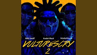 VULTURES CRY 2 (feat. WizDaWizard and Mike Smiff)