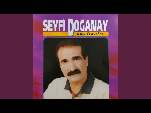 Kim Vurduya Gitti Ömrüm