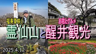 【登山Vol.27】滋賀県霊仙山(りょうぜんざん)　カルストの大地が広がる人気のお山に遅咲きの福寿草を求めて。おまけの醒井(さめがい)では地元の方とのふれあいも見どころです