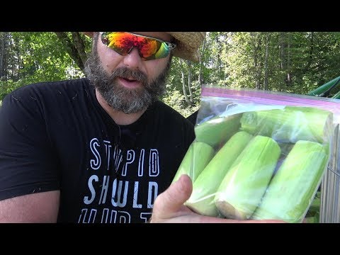 download lagu mp3 mp4 How Do I Freeze Corn In The Husk, download lagu How Do I Freeze Corn In The Husk gratis, unduh video klip How Do I Freeze Corn In The Husk