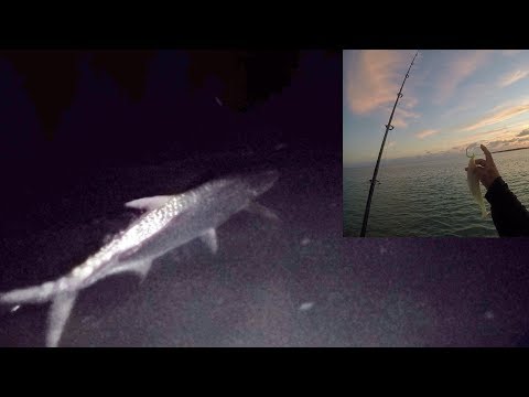 Stress Relief Tarpon - Ft. 9" Pearl Paddle Tail