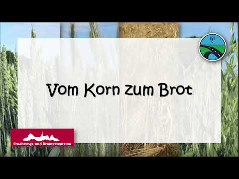 Vom Korn zum Brot (Grundschule)