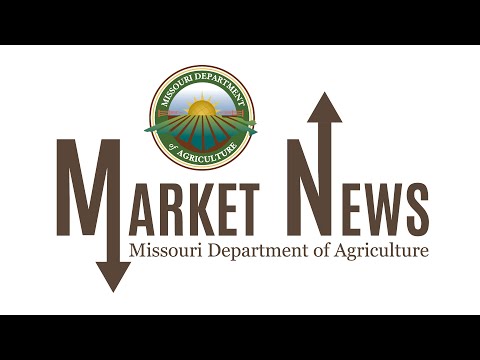 Daily Market Report Aug 12, 2025