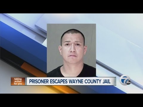 Wayne County Jail Search