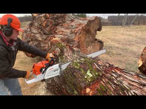 Most Powerful Production Chainsaw in the World Stihl MS 881 - We Bought One - This is What We Think