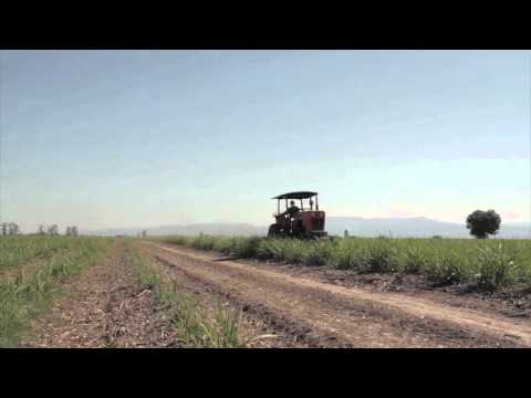 , title : 'UCAR - PROICSA: Fertilización en caña de azúcar (tutorial)'