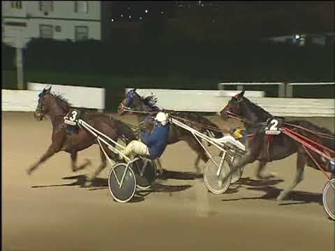 Trotto 26/11/2017 - 7ª corsa