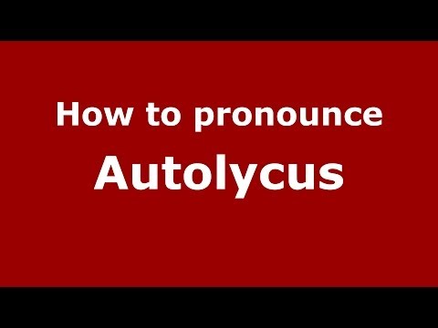 How to pronounce Autolycus