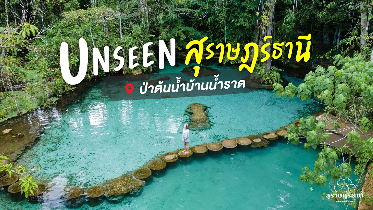 ป่าต้นน้ำท่าทอง