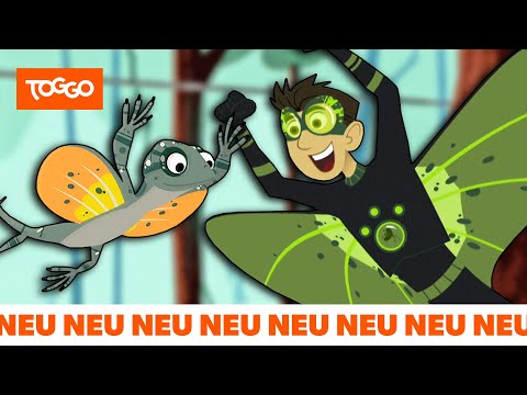 Go Wild! - Mission Wildnis | Der Flug der Drachenechse | Ganze Folge | TOGGO Serien