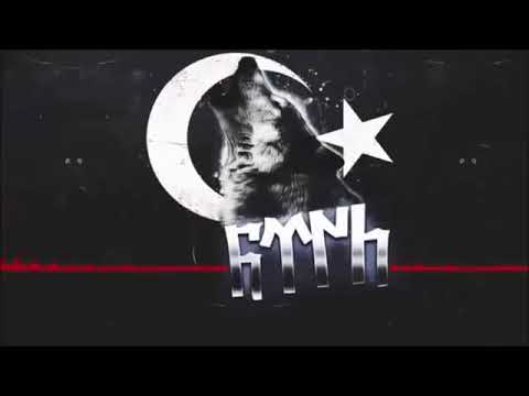 OZAN ERHAN GÖKTE KARTAL YERDE ASLAN DAĞDA BOZKURT ORDUSU REMİX