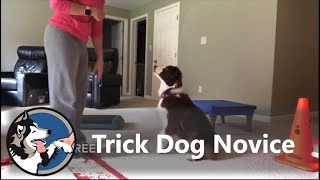 AKC Trick Dog Novice Finnesse