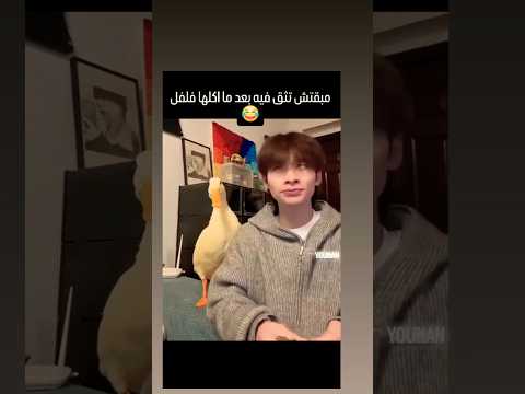 واحد صيني اكل البطه بتاعته فلفل حراق مبقتش تثق فيه غير لما ياكل قدامها الاول ...😂 #البطة #الحيوانات