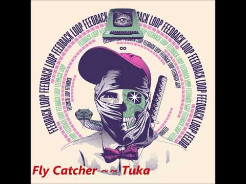 Video thumbnail for Fly Catcher