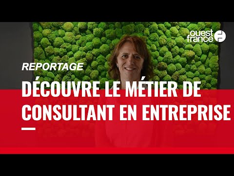 CONSULTANT EN ENTREPRISE. DÉCOUVRE UN MÉTIER