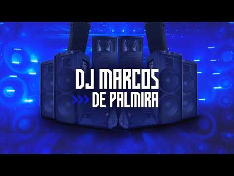 Sou Foda - Remix Dj Marcos De Palmira #arrochadeira #praparedão