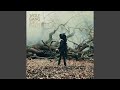 Midnight Dancers by Wolf Gang