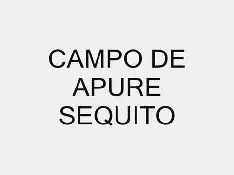 CAMPO DE APURE SEQUITO EDGAR RAMIREZ