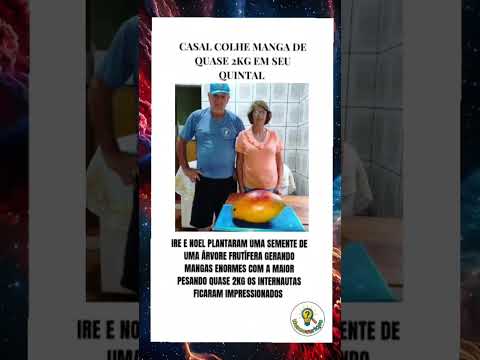 Em porto Mauá, Rio grande do Sul! #shorts #curiosidade #universo #curiosidadeshistoricas #agro