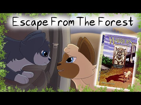 Escape From The Forest – Trip Through Time | Warriors Analysis