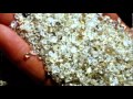 Andru Donalds - Precious little diamond 