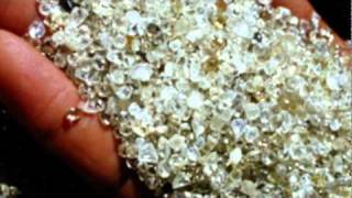 Andru Donalds  - Precious little diamond