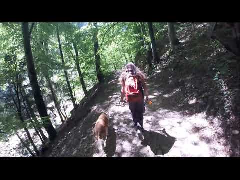 Wanderung Etappe 2: Frinvillier - Taubenlochschlucht - Biel, Folge 1/4│CH-Mundart #003-1