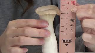 ペ〇ス測定器で色んなものを測りまくった結果