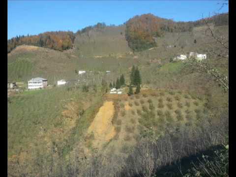 hüseyin bıçak ayrıldım memleketten