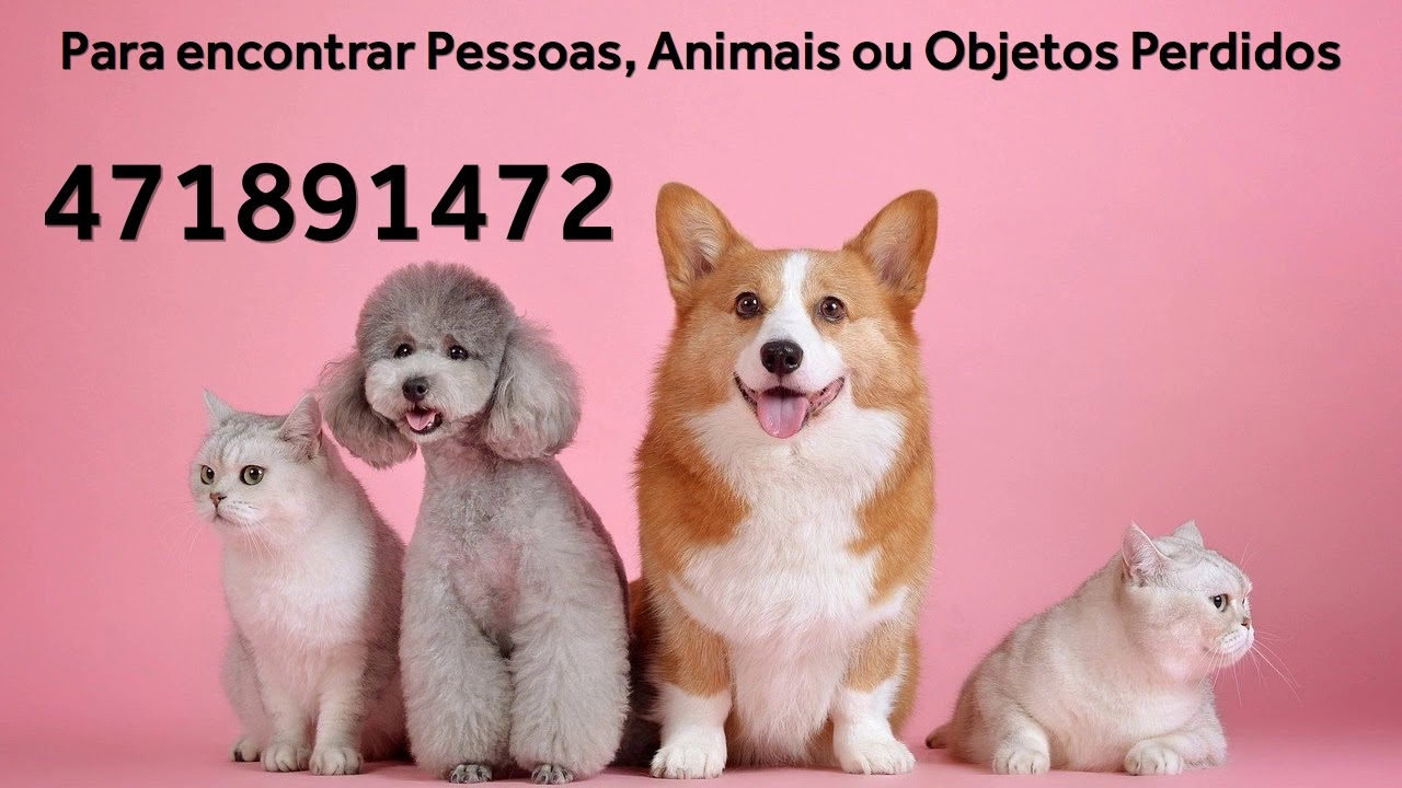 Como Encontrar Pessoas, Animais ou Objetos Perdidos com Números Grabovoi