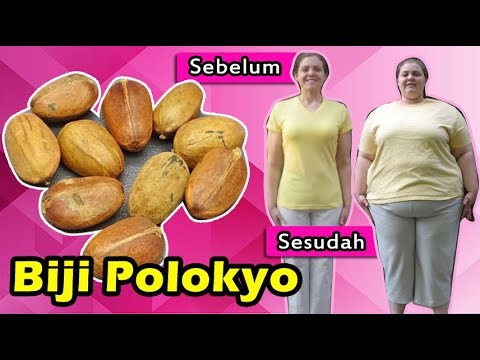 Menurunkan berat badan pada minggu ke 4 Bagaimana benar menggabungkan lemak makanan dan karbohidrat