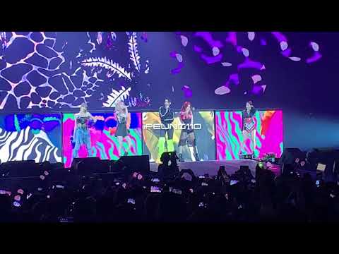 [FANCAM] 190501 DuaLipa  #BLACKPINK #블랙핑크- KissAndMakeUp #INYOURAREA  NJ D-1 BY ipeung110
